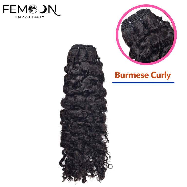 Premium wholesale Burmese curly human hair bundles from our 20-year source factory, offering 100% unprocessed virgin hair with cuticle aligned quality for professional salon-grade installations.